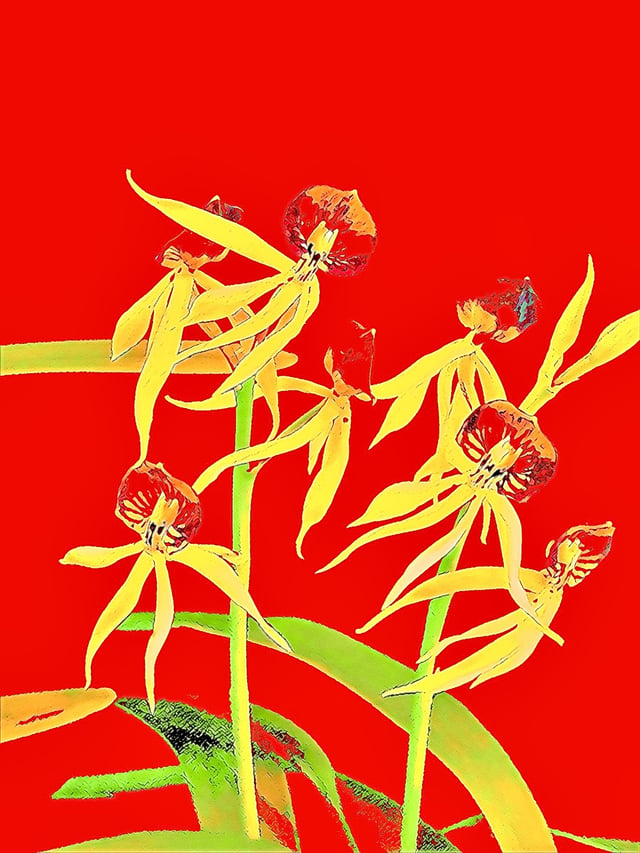 Photo Room 20240121 221454 by Joalene Young